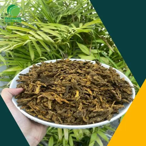 Hoàng Liên sấy khô đóng gói sẵn sàng