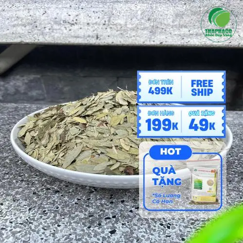 Phan Tả Diệp thành phẩm sẵn sàng phục vụ khách hàng