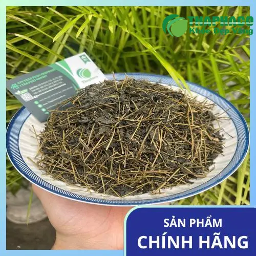 Những ai nên dùng giảo cổ lam và những ai cần thận trọng