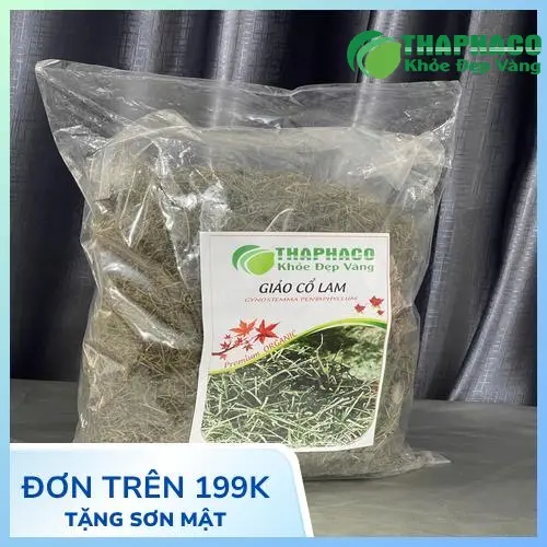 Bảo quản giảo cổ lam sấy khô ở nơi khô ráo, thoáng mát