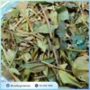 Chè Vằng Tấn Phát: Dược Liệu Hữu Cơ Cao Cấp, Hỗ Trợ Sức Khỏe Toàn Diện