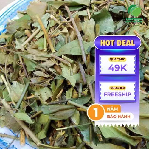 Chè vằng Dược Liệu Tấn Phát đạt chuẩn chất lượng với quy trình kiểm định nghiêm ngặt