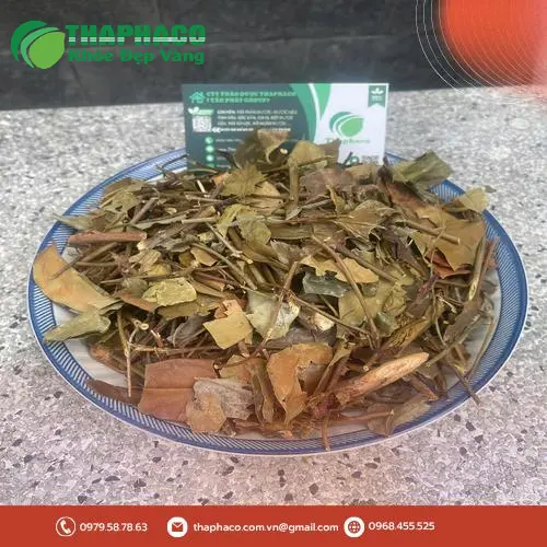 Chè vằng khô Tấn Phát và ưu đãi hấp dẫn, giá tốt tại TP.HCM
