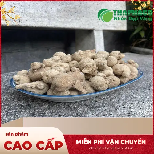 Củ Tam Thất Nam Giá Bao Nhiêu 1kg tại TP.HCM? Cập Nhật Mới