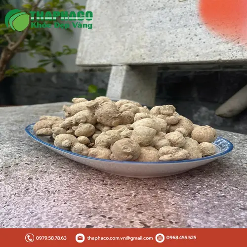 Kiểm định chất lượng củ tam thất nam