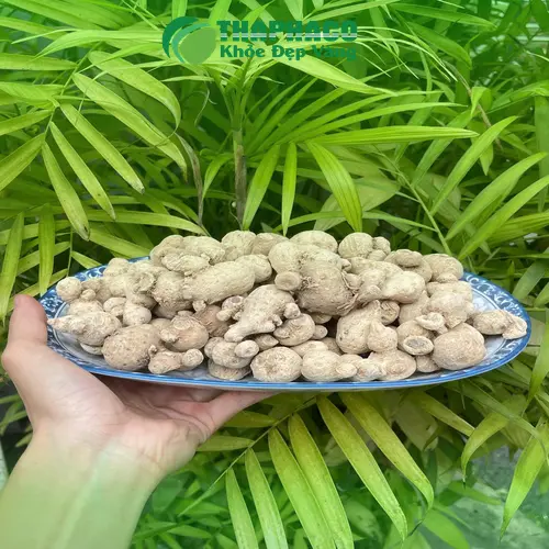 Cửa hàng Dược Liệu Tấn Phát tại TP.HCM