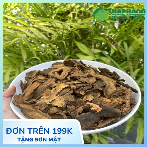 Đại hoàng sấy khô cao cấp, hình ảnh tổng quan sản phẩm Dược Liệu Tấn Phát