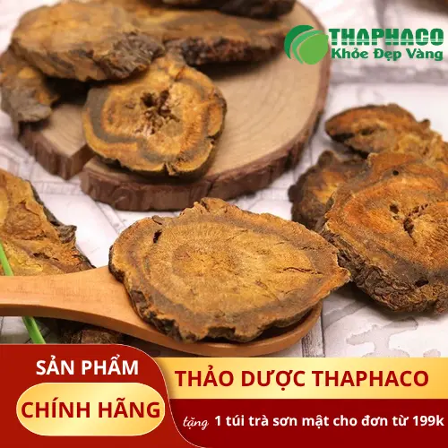 Hình ảnh đại hoàng sấy khô cao cấp Dược Liệu Tấn Phát
