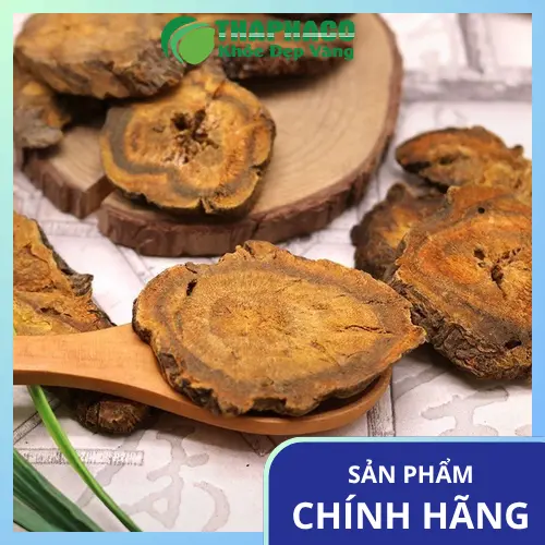 Quy trình sấy khô Đại Hoàng giữ trọn dược tính