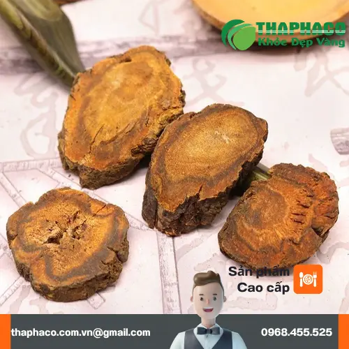Công dụng đa dạng của Đại Hoàng sấy khô