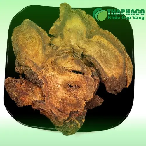 Đại Hoàng được đóng gói cẩn thận tại Dược Liệu Tấn Phát