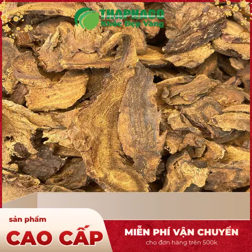 Dược liệu Đại Hoàng khô được bảo quản đúng cách