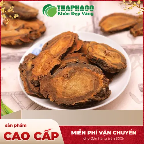 Trà đại hoàng sấy khô Dược Liệu Tấn Phát