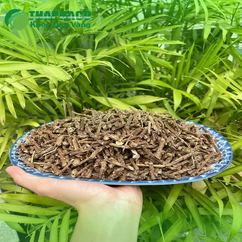 Hình ảnh dây thần thông thật với màu sắc tự nhiên, vỏ sần sùi