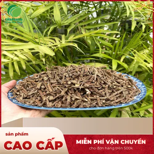 Hình ảnh thân cây dây thần thông tươi với lá xanh biếc