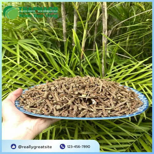 Dược Liệu Tấn Phát - Địa chỉ bán dây thần thông uy tín tại TP.HCM