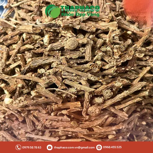 Dây Thần Thông Dược Liệu Tấn Phát - Sức khỏe từ thiên nhiên
