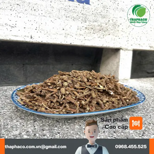 Hình ảnh nhân viên Dược Liệu Tấn Phát đang tư vấn khách hàng về thảo dược
