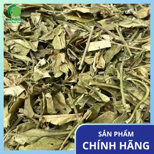 Dây thìa canh khô tự nhiên, chuẩn hữu cơ