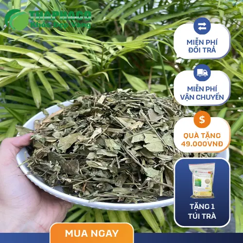Trà dây thìa canh sau khi pha