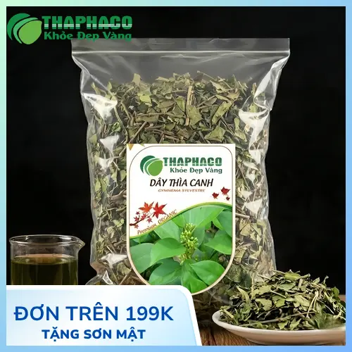 Pha trà Dây thìa canh đúng cách để đạt hiệu quả tốt nhất
