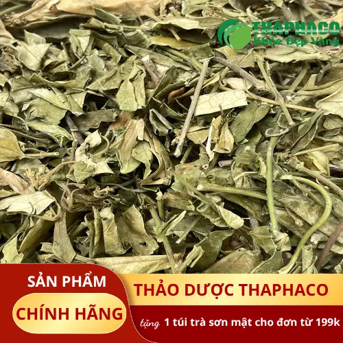 Quy trình sấy khô Dây thìa canh tại Dược Liệu Tấn Phát
