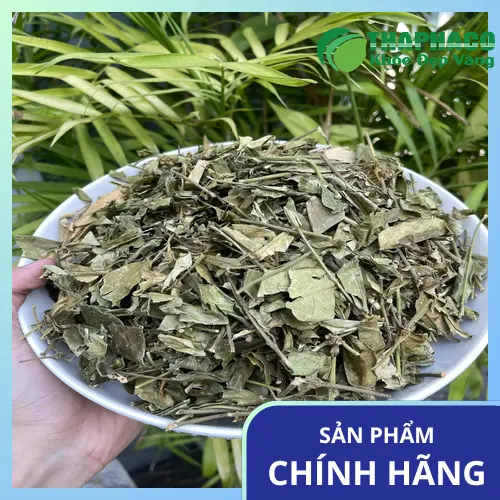 Đóng gói Dây Thìa Canh tại Dược Liệu Tấn Phát