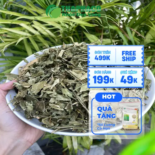 Dây thìa canh Tấn Phát - Sản phẩm chất lượng cao, uy tín