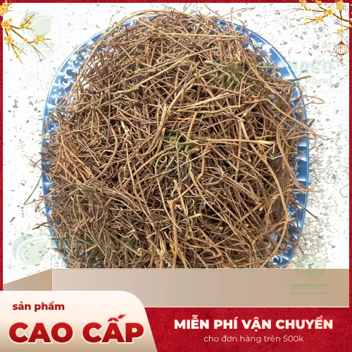 Dây Tơ Hồng khô - Thảo dược hữu cơ chất lượng cao từ Dược Liệu Tấn Phát
