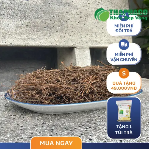 Dây tơ hồng khô cao cấp của Dược Liệu Tấn Phát