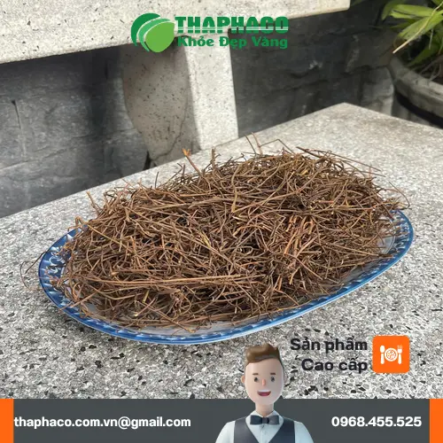 Hình ảnh minh họa cây Dây Tơ Hồng tự nhiên đang ký sinh