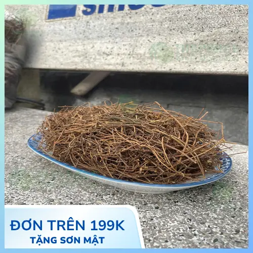 Hình ảnh dây tơ hồng được chọn lọc kỹ lưỡng tại THAPHACO