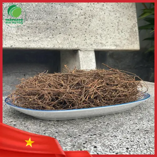 Cách bảo quản dây tơ hồng khô để giữ dược tính lâu dài