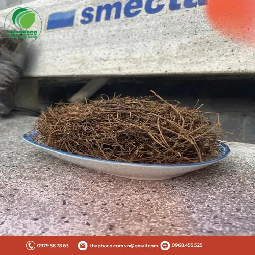 Dây Tơ Hồng đã được sơ chế, phơi khô sẵn sàng cho việc sử dụng
