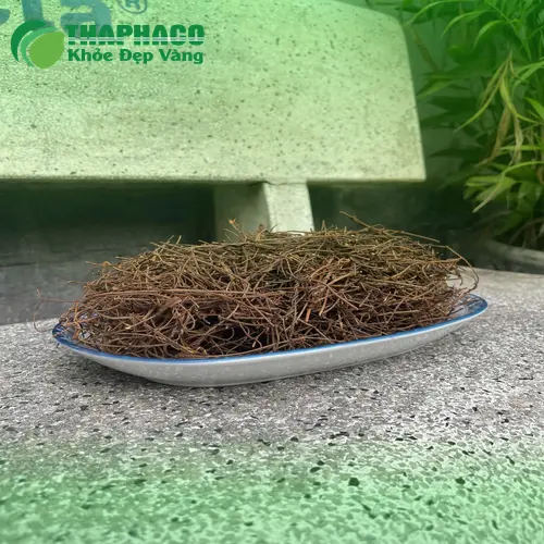 Dây tơ hồng tại THAPHACO, đảm bảo chất lượng cao cấp