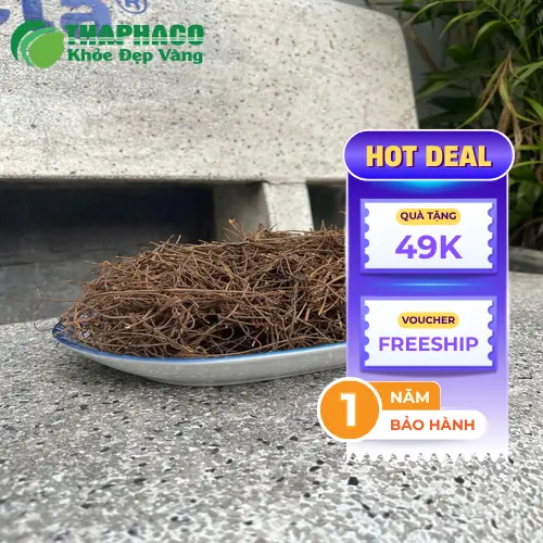Dược Liệu Tấn Phát - Chuyên cung cấp thảo dược hữu cơ tại HCM