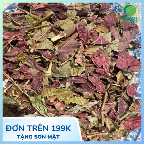 Lá đơn đỏ tươi nguyên chất từ Dược Liệu Tấn Phát