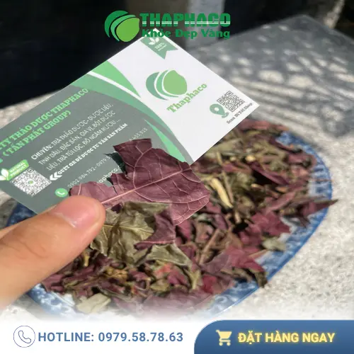 Lá Đơn Đỏ Sấy Khô 1kg: Giải Pháp Tự Nhiên Cho Sức Khỏe