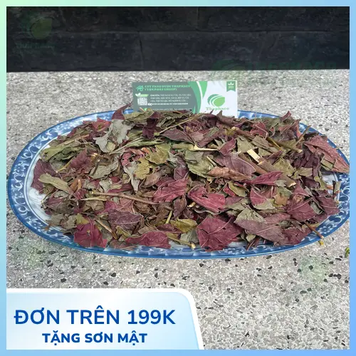 Lá dơn đỏ khô hữu cơ chất lượng cao để điều trị viêm da cơ địa
