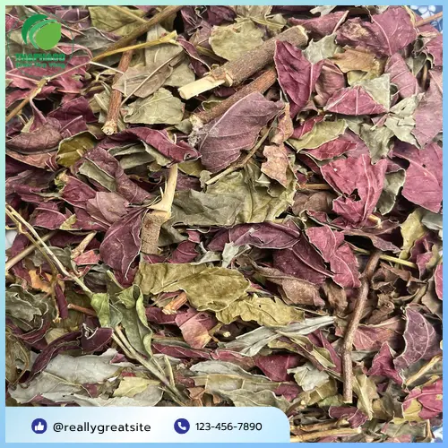 Hướng dẫn sử dụng lá dơn đỏ trị viêm da cơ địa hàng ngày