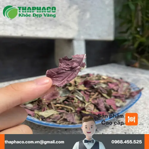 Nước lá đơn đỏ đã sắc sẵn sàng sử dụng