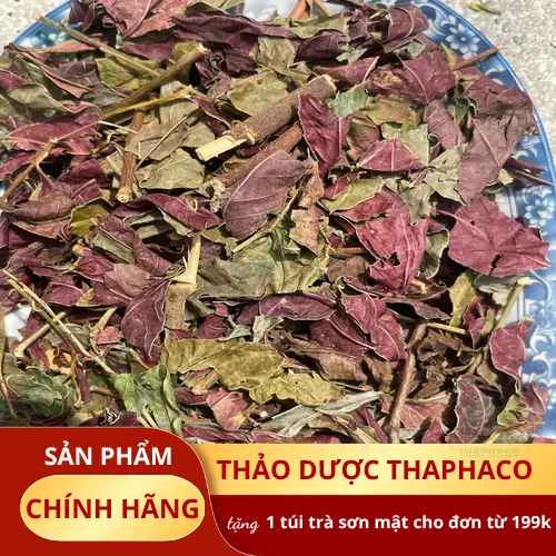 Công dụng đa dạng của lá đơn đỏ sấy khô THAPHACO