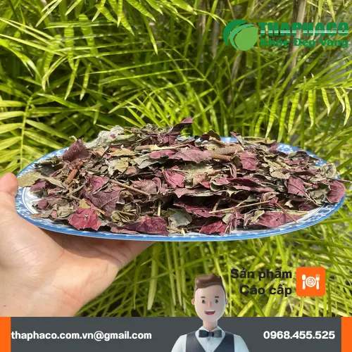 Cách bảo quản lá dơn đỏ khô để giữ dược tính tối đa
