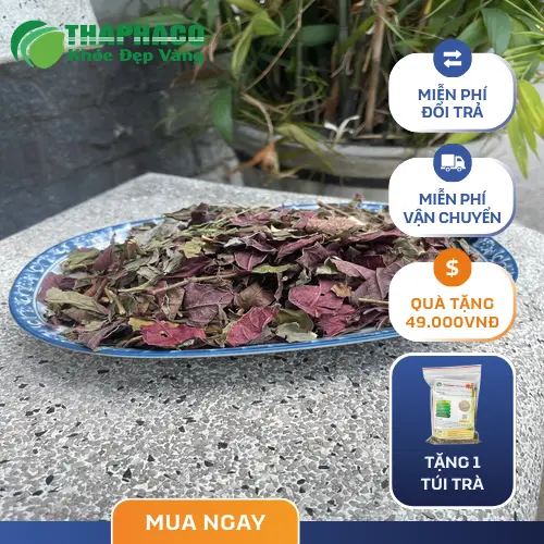 Hướng dẫn sử dụng và bảo quản lá đơn đỏ sấy khô hiệu quả