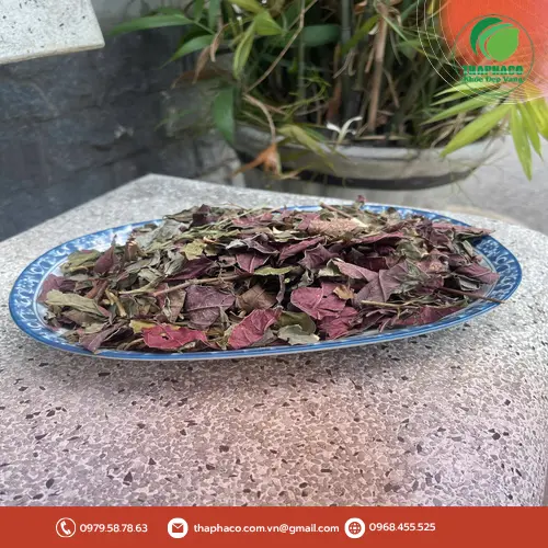 Sản phẩm lá dơn đỏ khô chất lượng cao của Dược Liệu Tấn Phát
