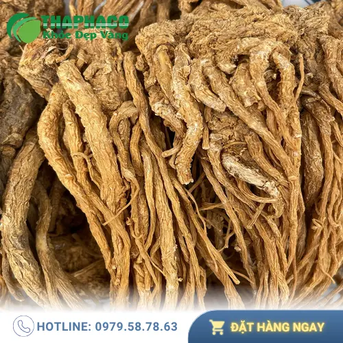 Hình ảnh Đương Quy khô, rễ cây có màu nâu vàng