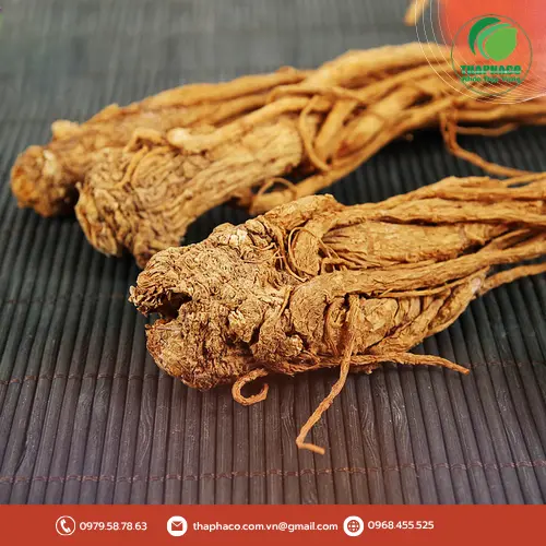 Đương quy khô được thái lát mỏng, có màu vàng nâu và mùi thơm đặc trưng của dược liệu