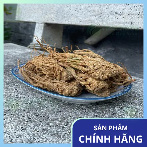 Sản phẩm Đương Quy khô của Dược Liệu Tấn Phát