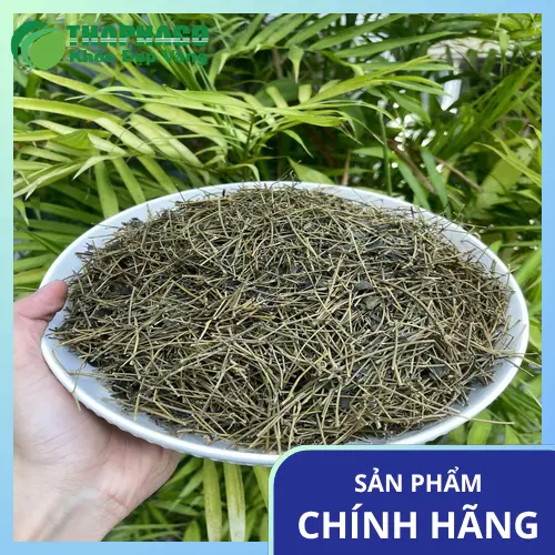 Giảo cổ lam nguyên cành khô Dược Liệu Tấn Phát