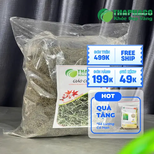 Địa chỉ bán giảo cổ lam uy tín tại TP.HCM